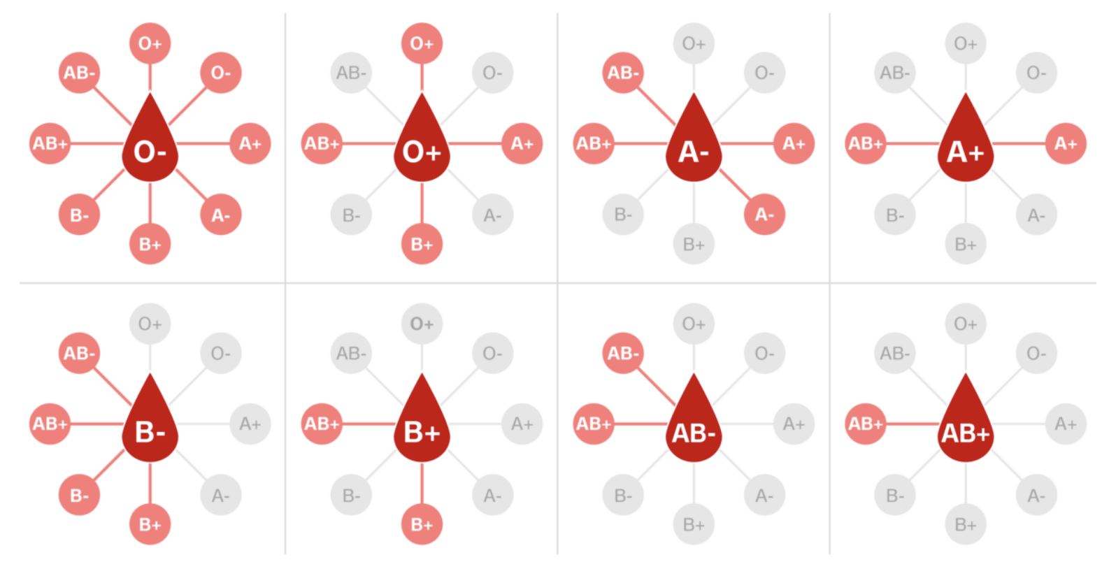 Understanding Blood Types and Their Correlations